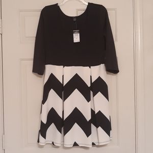 New Rue21 Skater Dress